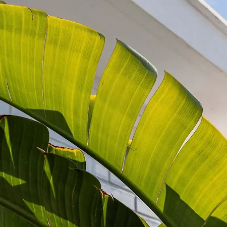 Apartman Jardines De Guadaiza Luxury Penthouse Rooftop Pool Bbq Marbella